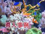 水槽レンタル導入事例