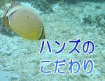 株式会社ハンズのこだわり
