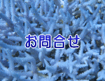 水槽レンタルお問い合わせ