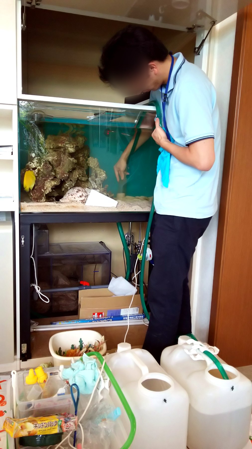 千葉県市原市で海水魚水槽の底砂や水槽内を清掃する作業