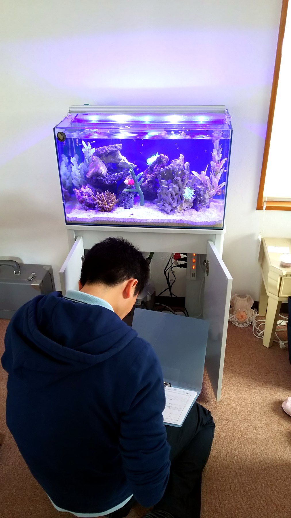 千葉県市原市で水槽のろ過設備まわりを確認・整備する作業